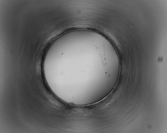 X0000101390681200807071005