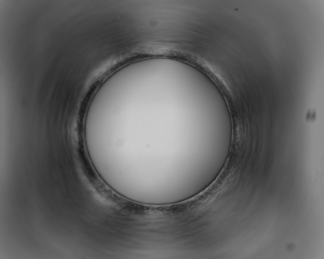X0000101390682200807071005