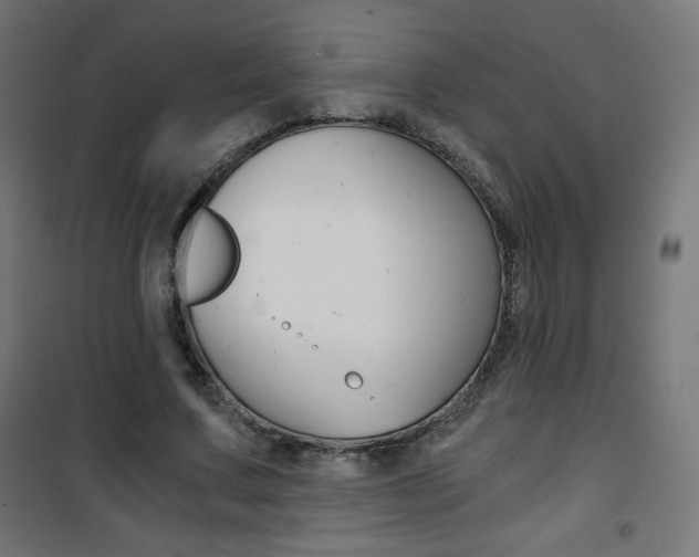X0000101390683200807071005