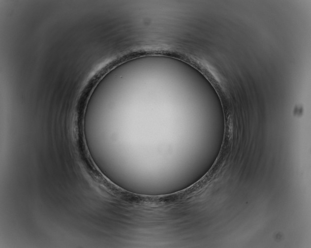X0000101390684200807071005