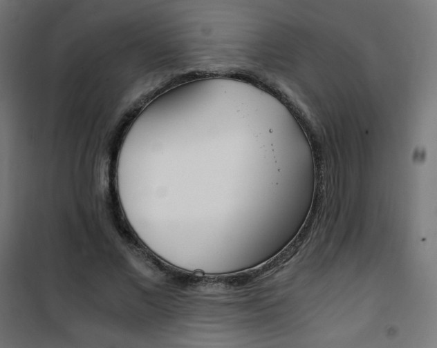 X0000101390685200807071005