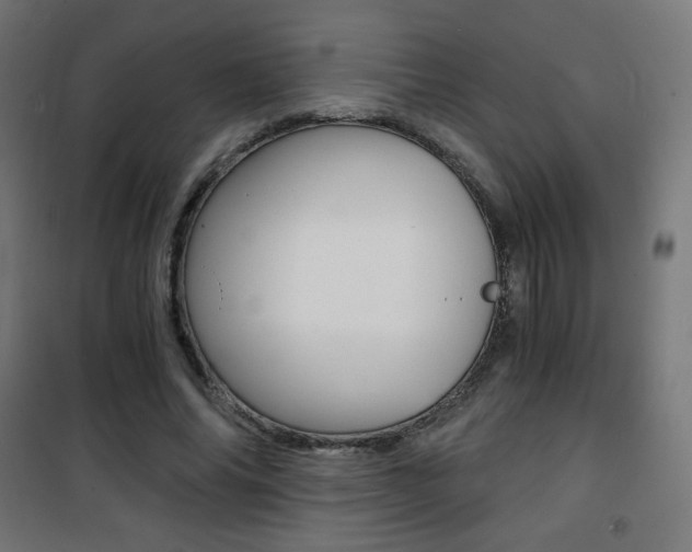 X0000101390686200807071005