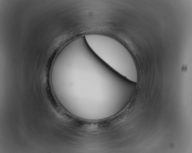 X0000101390687200807071005