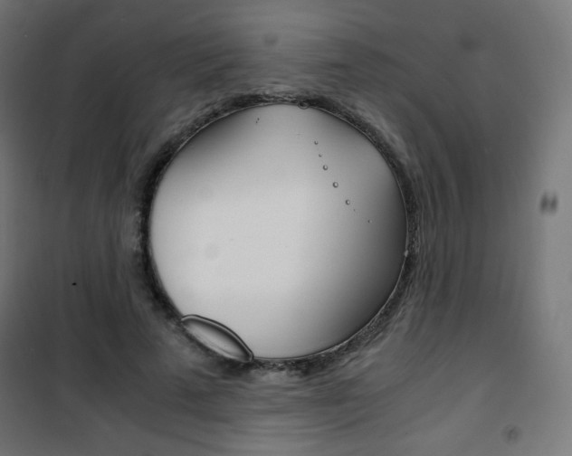 X0000101390689200807071005