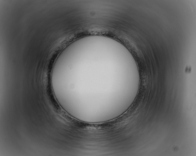 X0000101390690200807071005