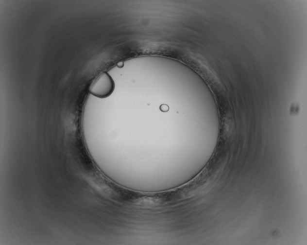 X0000101390691200807071005
