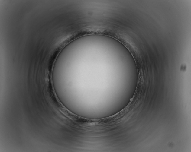 X0000101390692200807071005