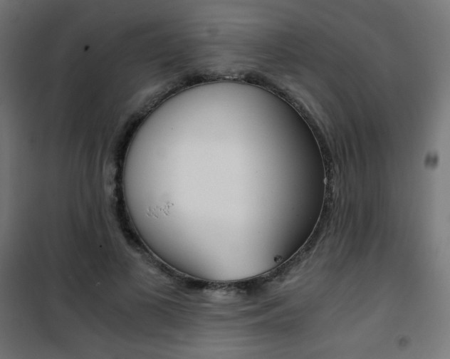 X0000101390693200807071005