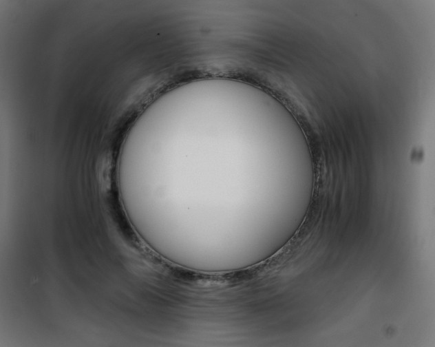 X0000101390694200807071005