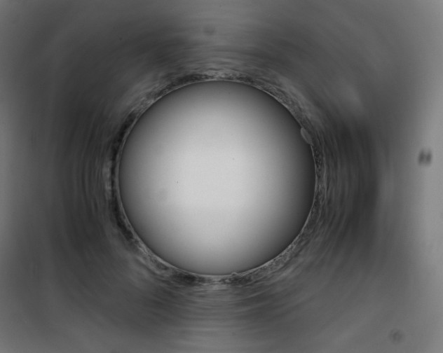 X0000101390696200807071005