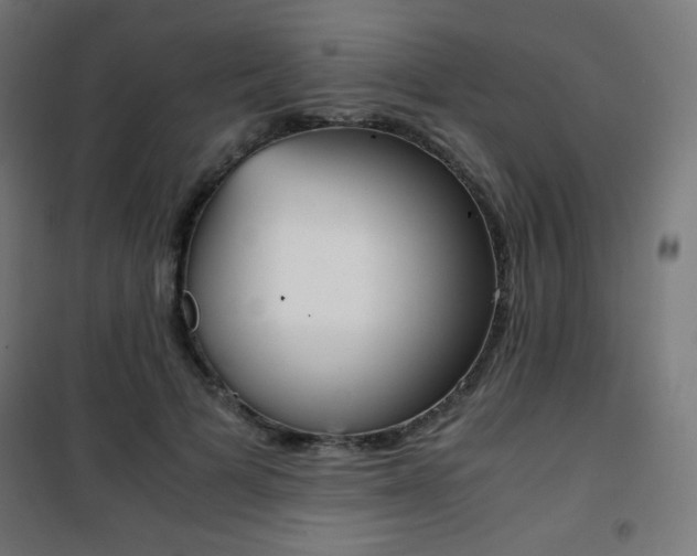 X0000101390697200807071005