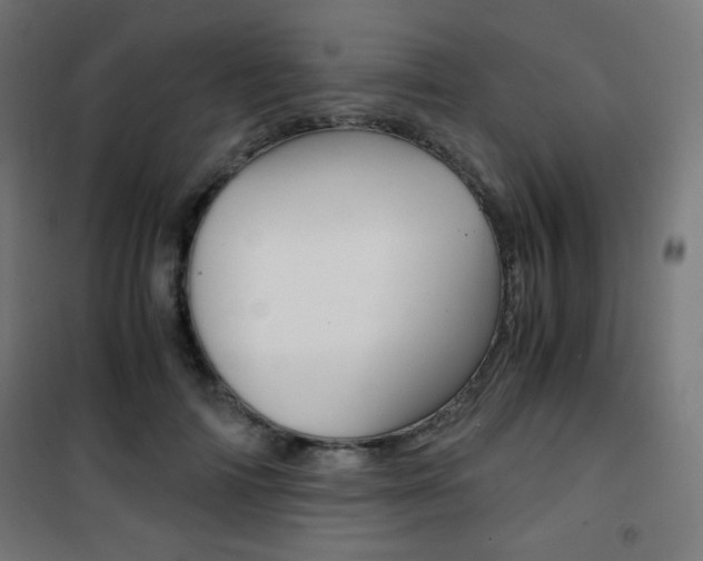 X0000101390698200807071005