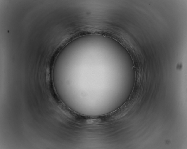 X0000101390700200807071005