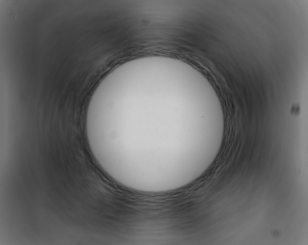 X0000101390701200807071005