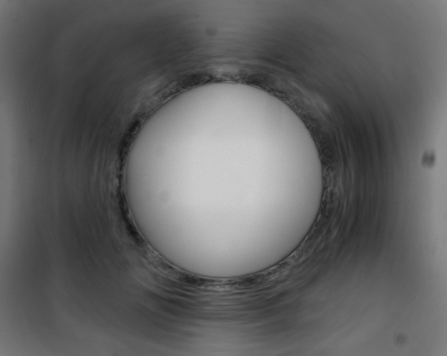 X0000101390702200807071005