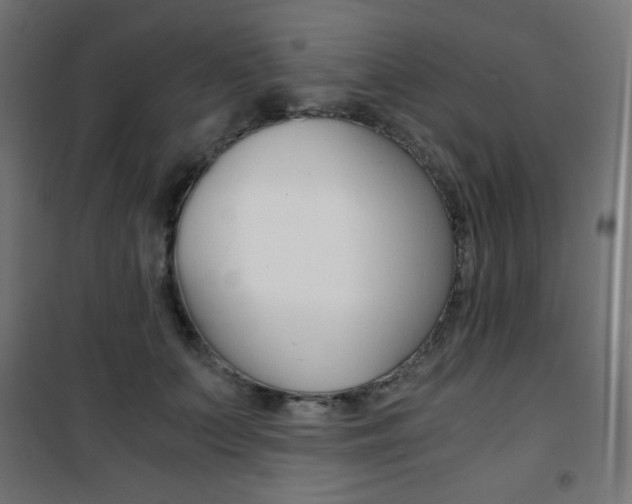 X0000101390703200807071005