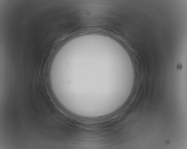 X0000101390705200807071005