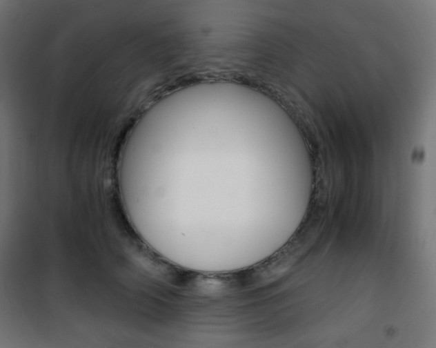 X0000101390706200807071005