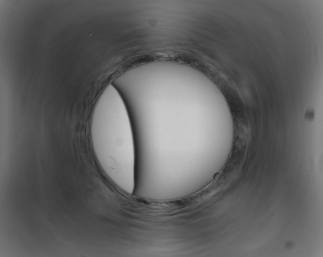 X0000101390707200807071005