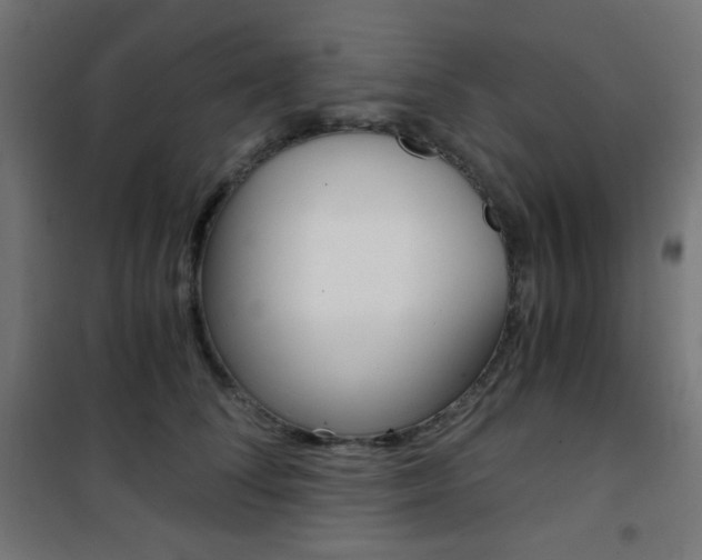 X0000101390708200807071005