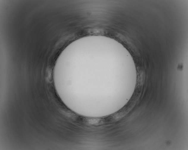 X0000101390709200807071005
