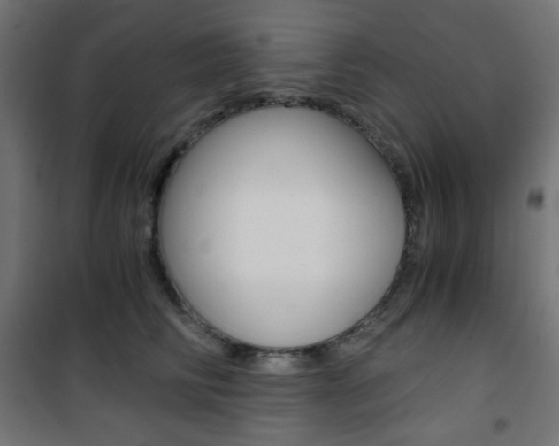 X0000101390710200807071005