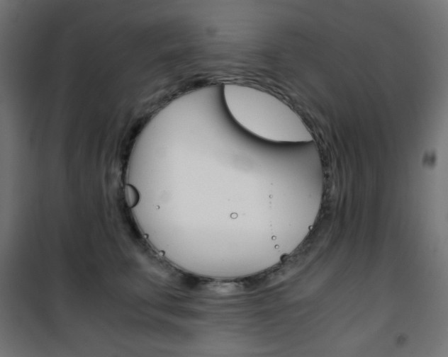 X0000101390711200807071005