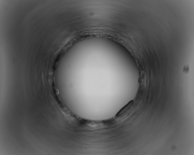 X0000101390712200807071005