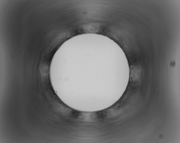 X0000101390713200807071005