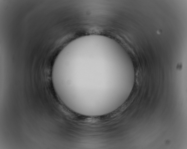X0000101390714200807071005