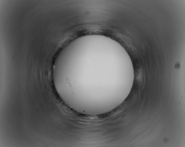 X0000101390715200807071005