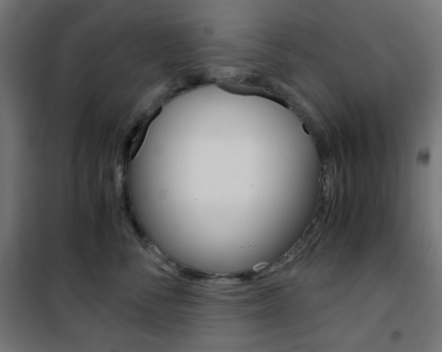 X0000101390716200807071005