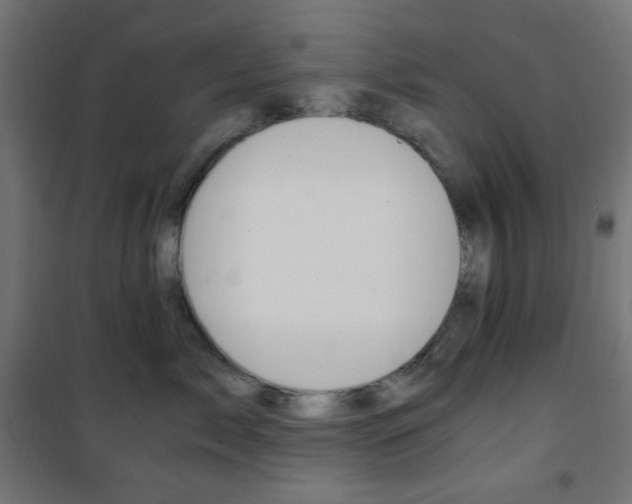 X0000101390717200807071005