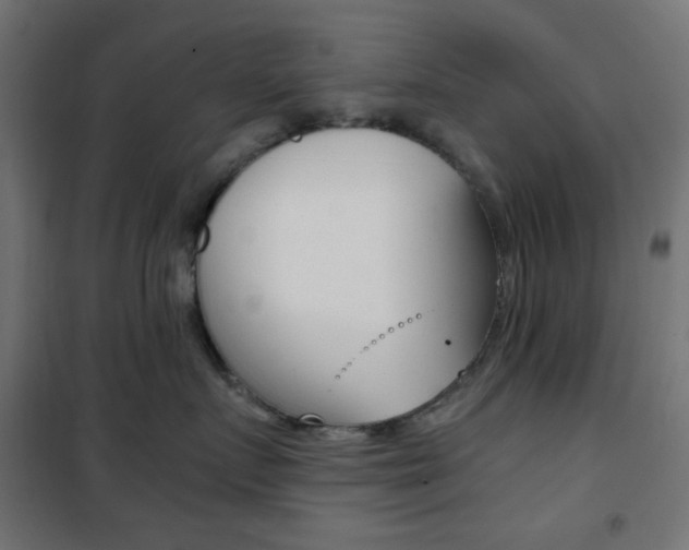 X0000101390719200807071005