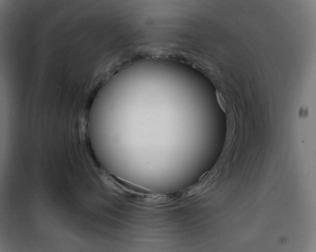 X0000101390720200807071005