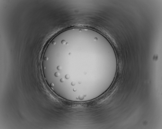 X0000101390721200807071004