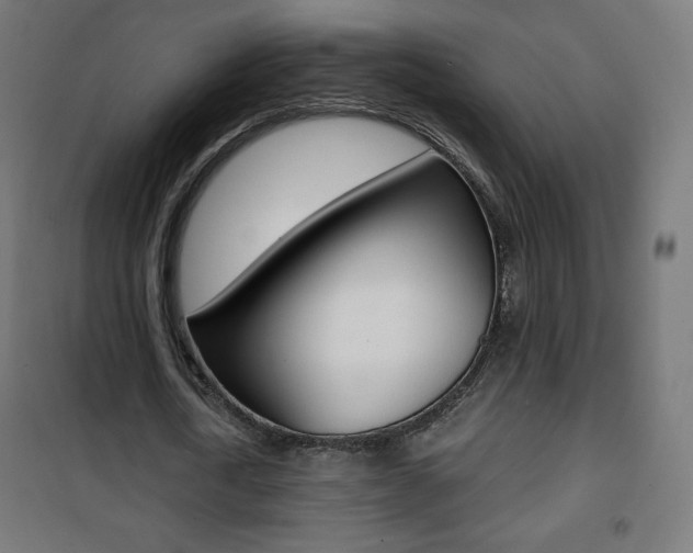 X0000101390722200807071004