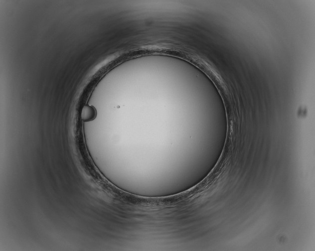 X0000101390724200807071004