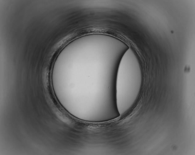 X0000101390725200807071004