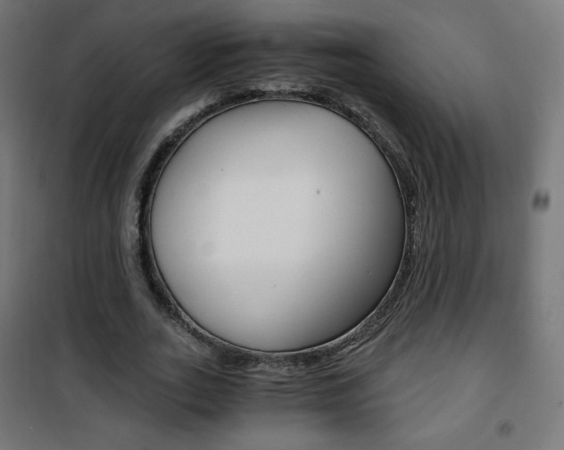 X0000101390727200807071004