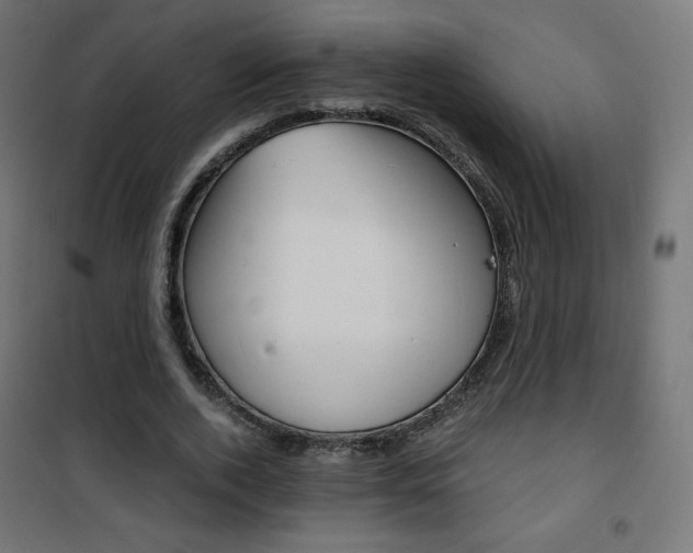 X0000101390728200807071004
