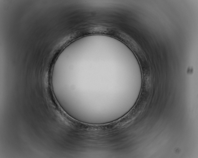 X0000101390729200807071004