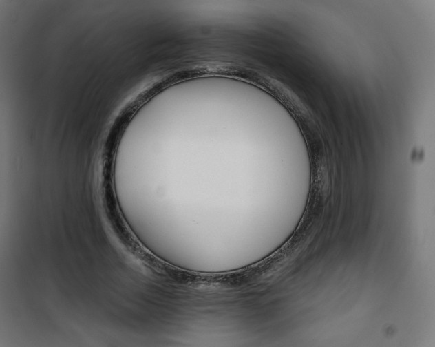 X0000101390730200807071004