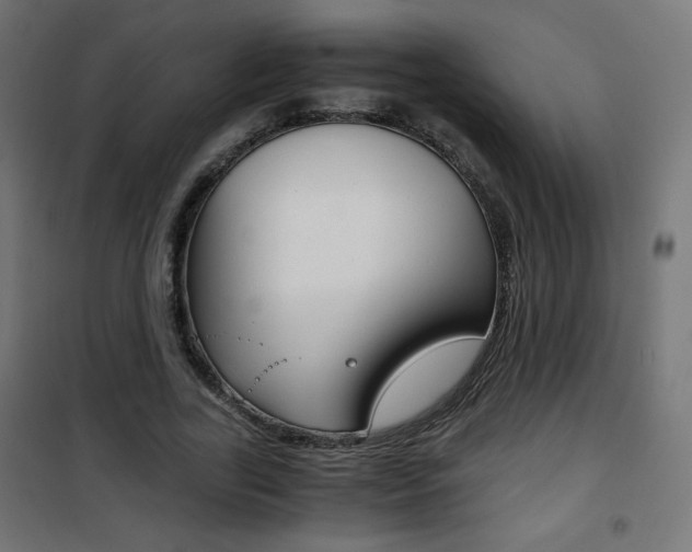 X0000101390731200807071004