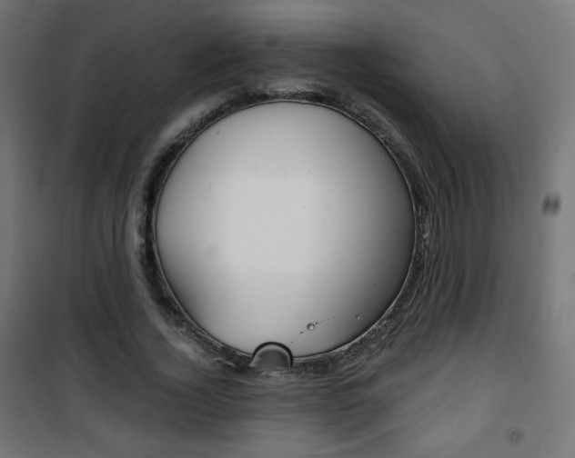 X0000101390732200807071004