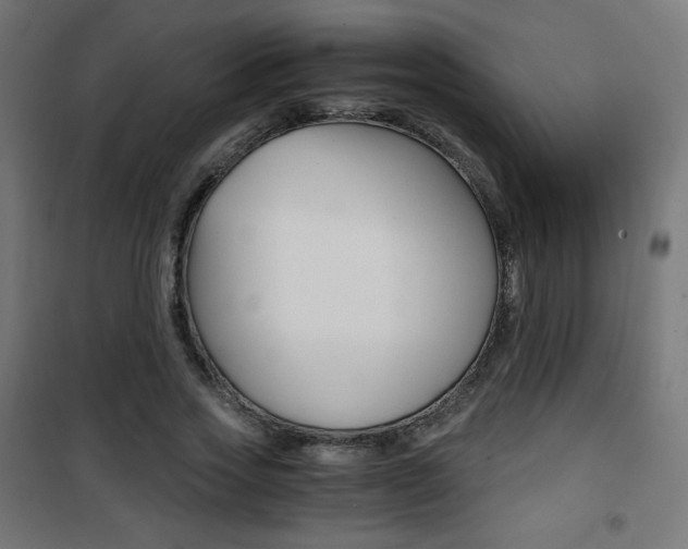 X0000101390733200807071004