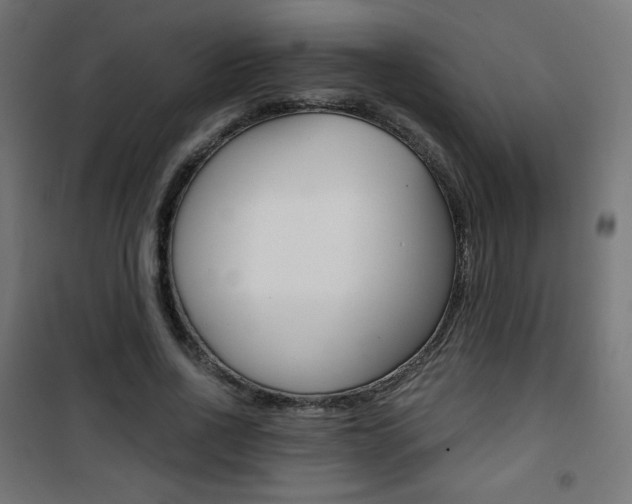 X0000101390734200807071004