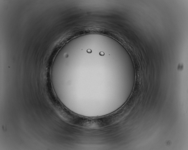 X0000101390735200807071004