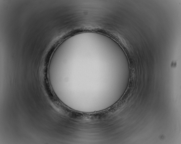 X0000101390736200807071004