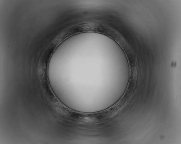 X0000101390737200807071004
